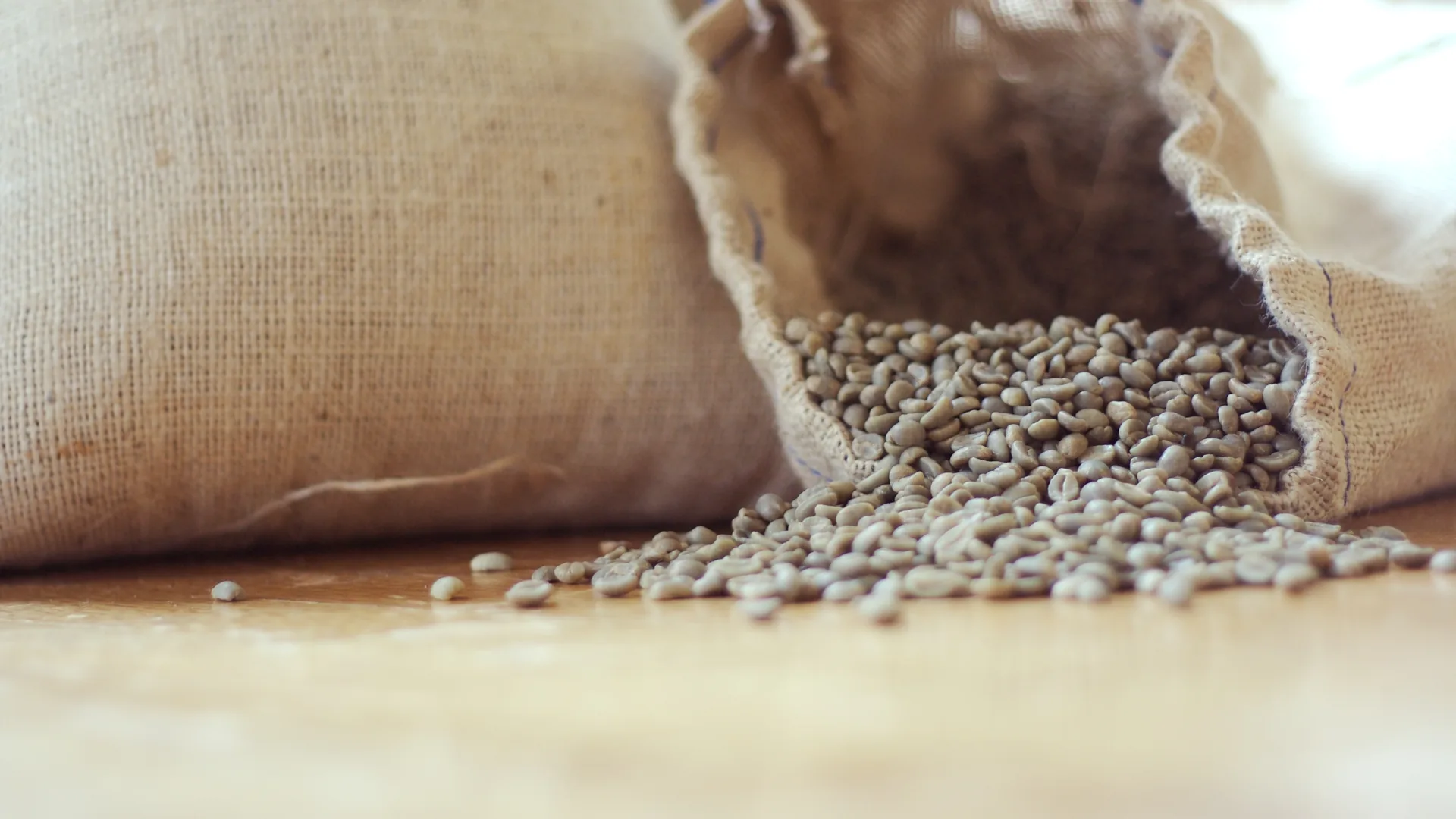 Green Coffee Extrakt – echtes Foto